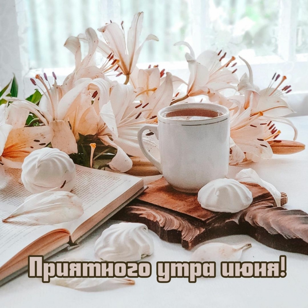 Смс с добрым солнечным утром Смс с добрым солнечным утром