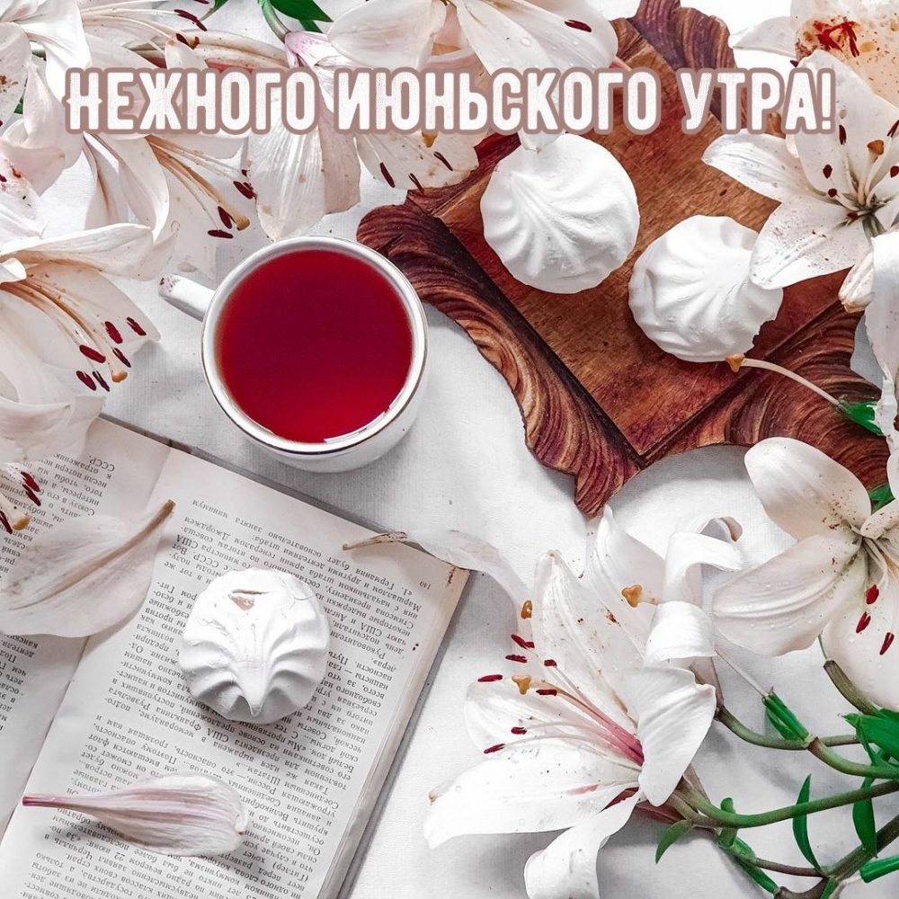 Солнечного Июньского утра и хорошего дня. Солнечного Июньского утра и хорошего дня.