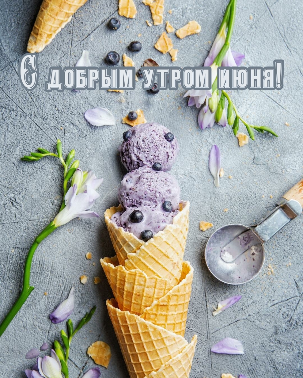 Доброго солнечного утра и чудесного дня Доброго солнечного утра и чудесного дня