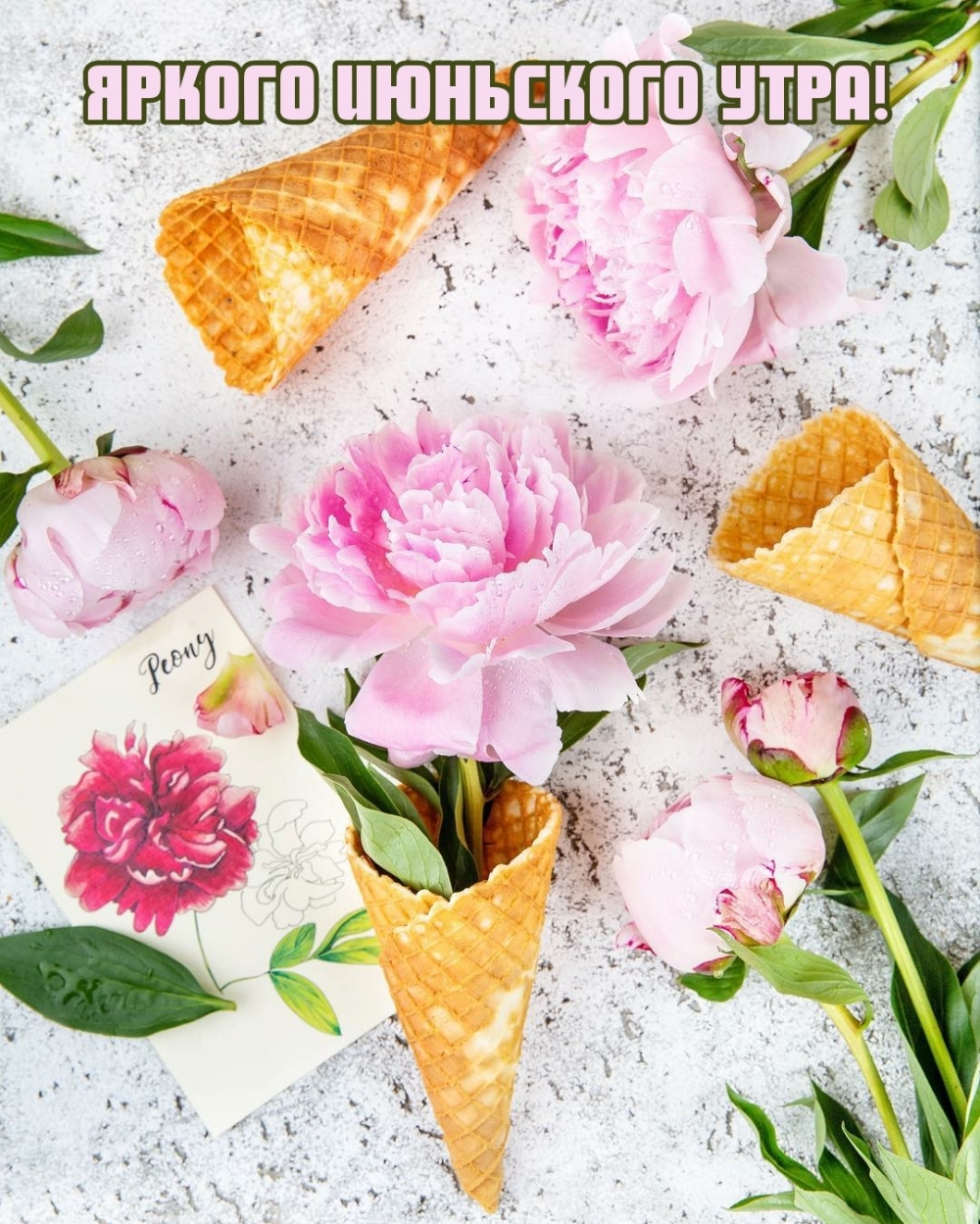 Поздравления с добрым летним утром Поздравления с добрым летним утром