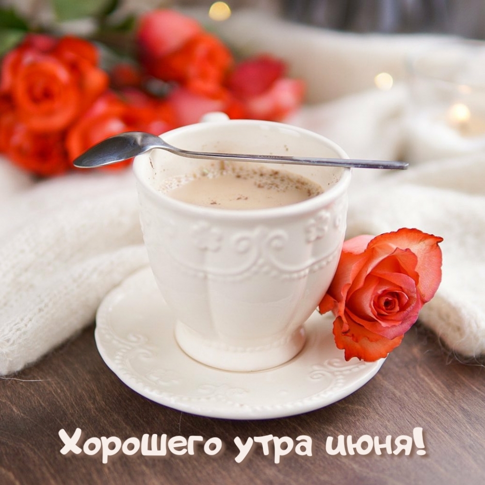 Доброго летнего утра и отличного настроения Доброго летнего утра и отличного настроения