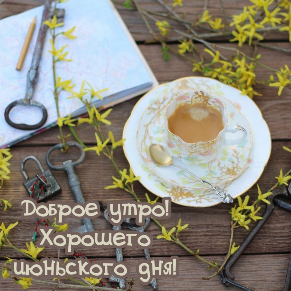 Доброе утро - картинки летние красивые цветы с кофе. Доброе утро - картинки летние красивые цветы с кофе.