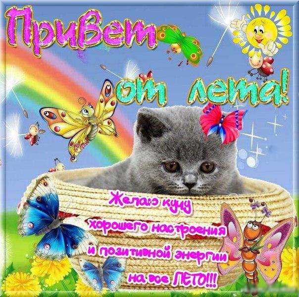 Открытки привет прикольные