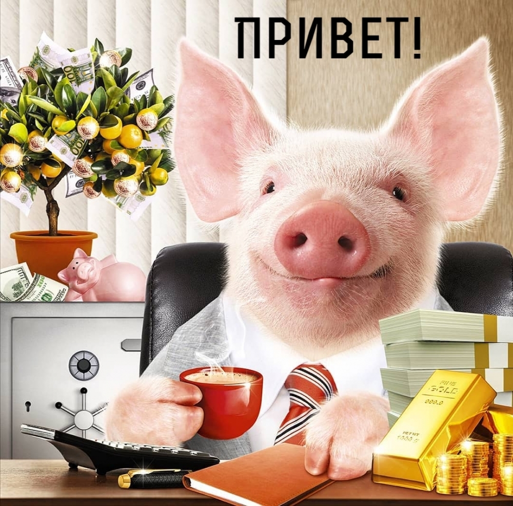 Самая смешная Открытка с летним приветом и поросёнком.