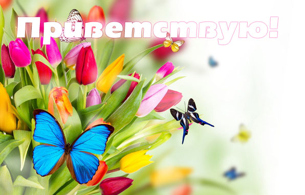 Поздравление с летом открытки