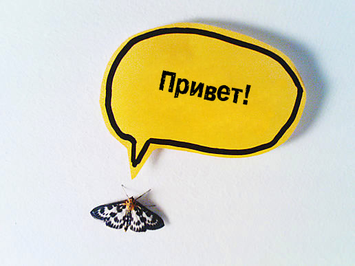 Открытка и картинка Приветик!