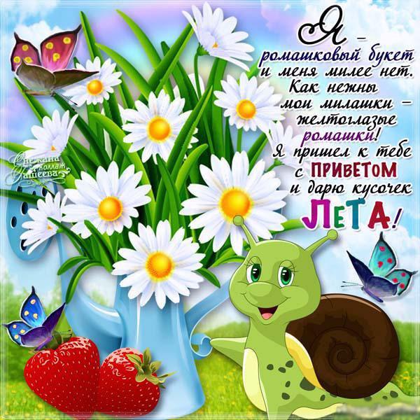 Открытка, картинка, привет, летний привет, приветик, лето.