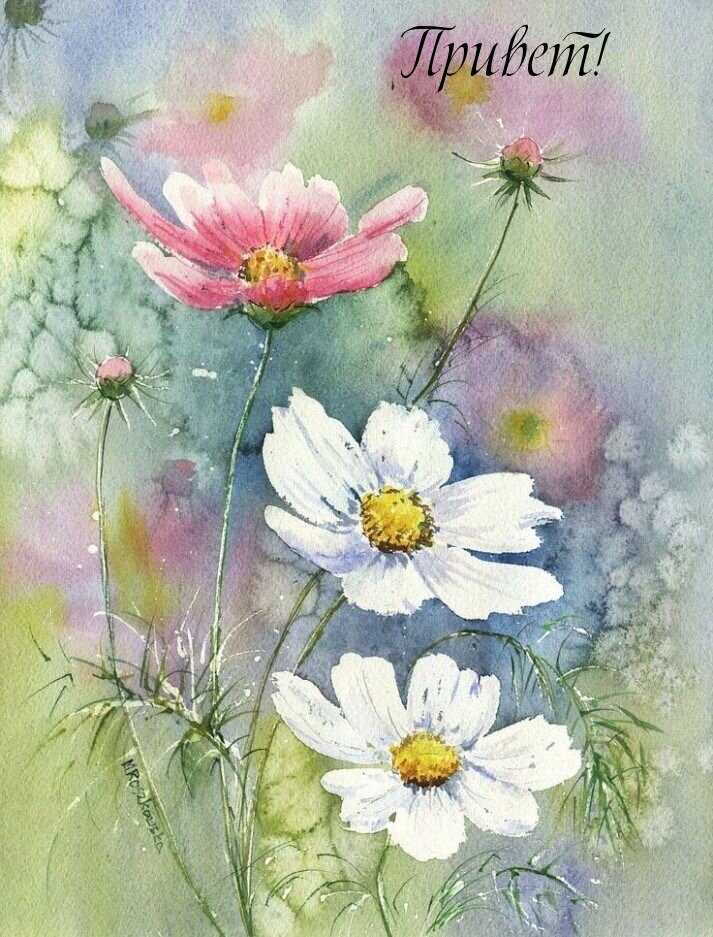 Открытка, картинка, Привет, летний приветик.