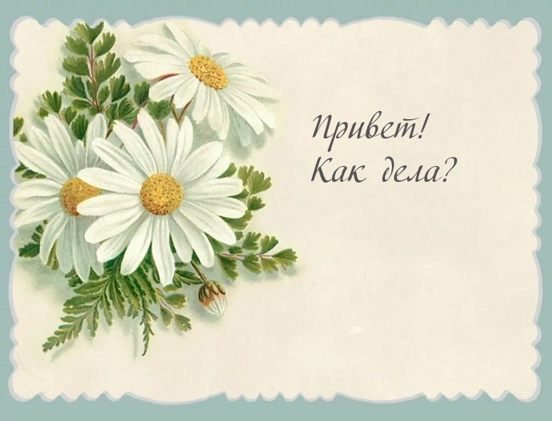 Летний приветик