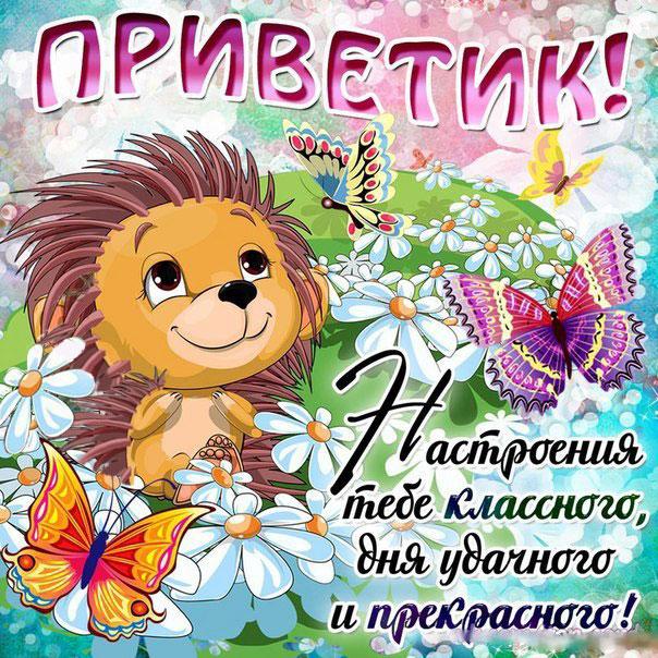 Лето пришло