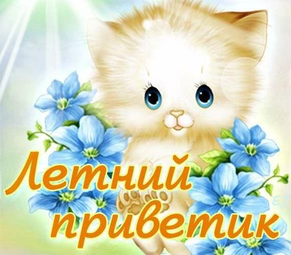 Красивое Приветствие с цветами