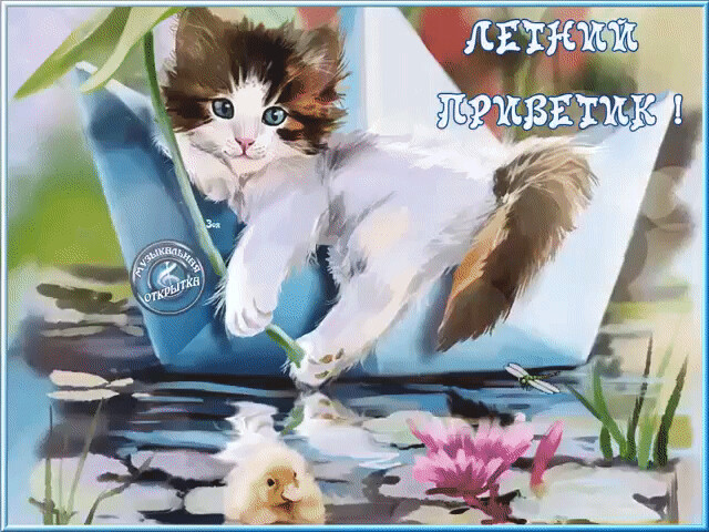 Летний Солнечный приветик