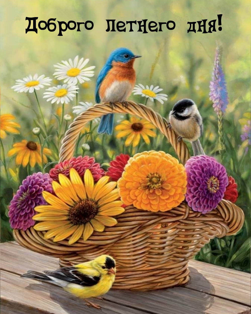 Отличного летнего настроения желаю! Отличного летнего настроения желаю!