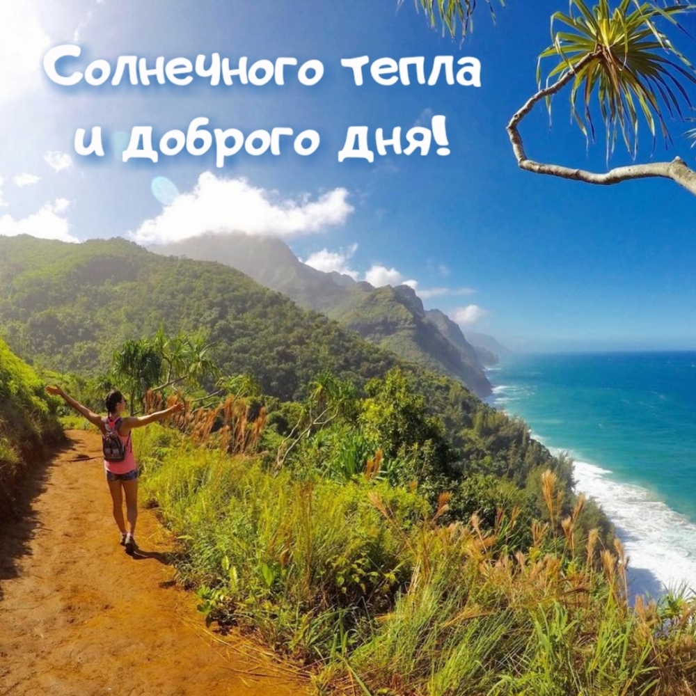 Красивые картинки "Хорошего дня!". Красивые картинки "Хорошего дня!".