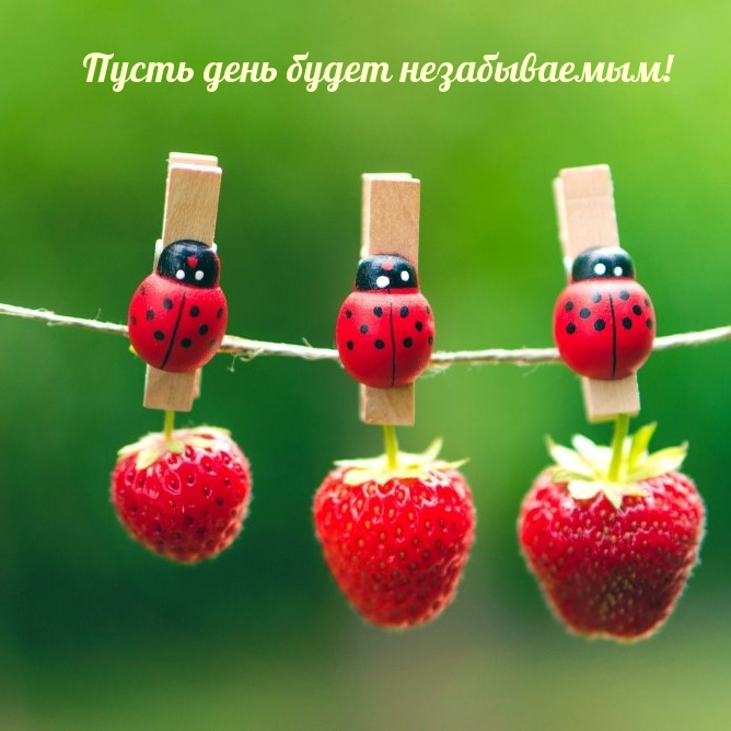 Открытки прекрасного дня и отличного настроения. Открытки прекрасного дня и отличного настроения.