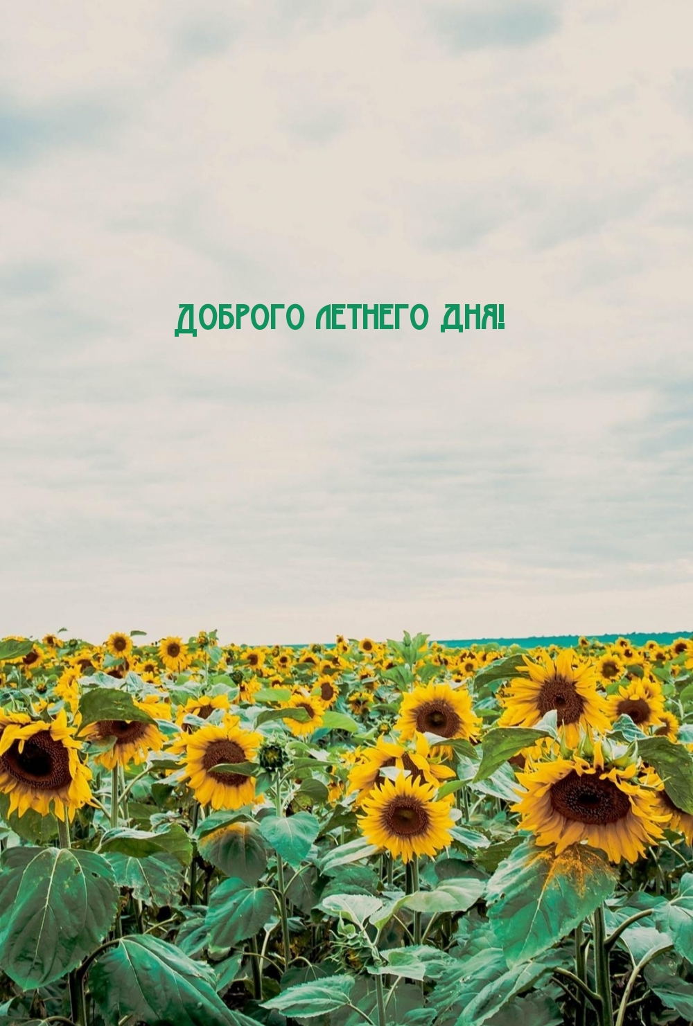 Летнего прекрасного и доброго денечка! Пусть лето принесет позитив, тепло, яркое солнышко, радость и счастье! Летнего прекрасного и доброго денечка! Пусть лето принесет позитив, тепло, яркое солнышко, радость и счастье!