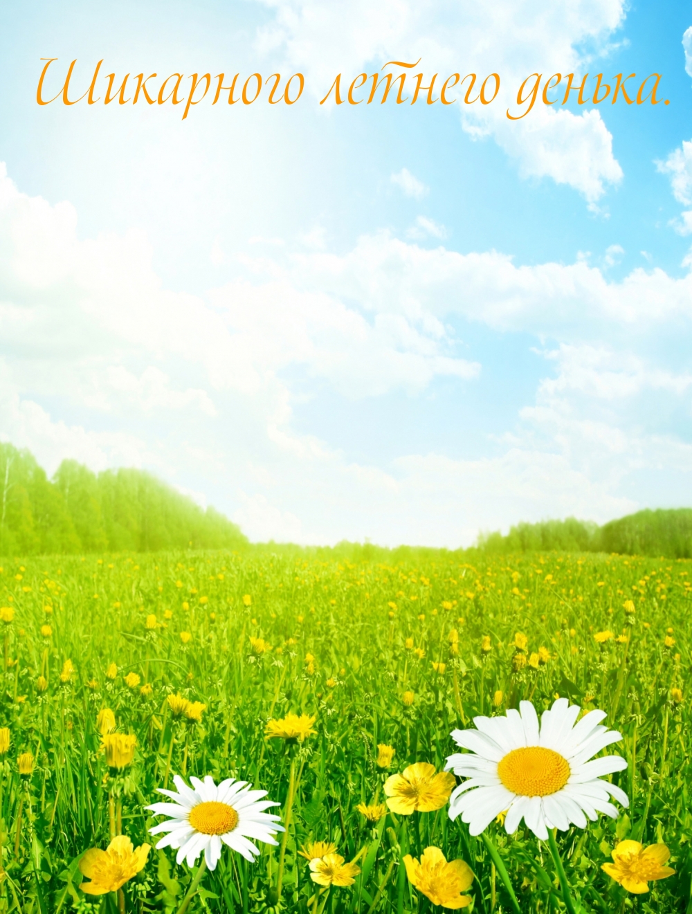 Предлагаем вашему вниманию красивые картинки с пожеланием хорошего летнего дня. Предлагаем вашему вниманию красивые картинки с пожеланием хорошего летнего дня.