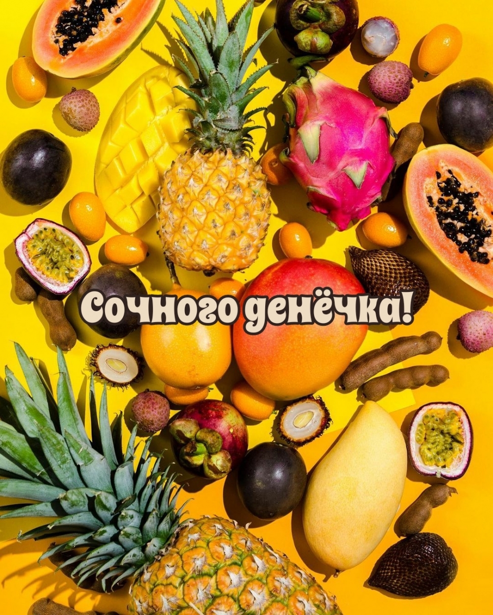 Гости увидят фотографии летних пейзажей, животных и птиц. Гости увидят фотографии летних пейзажей, животных и птиц.