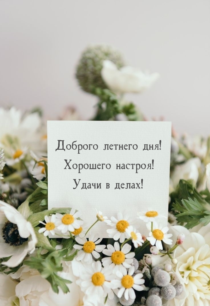 Отличного летнего настроения Отличного летнего настроения