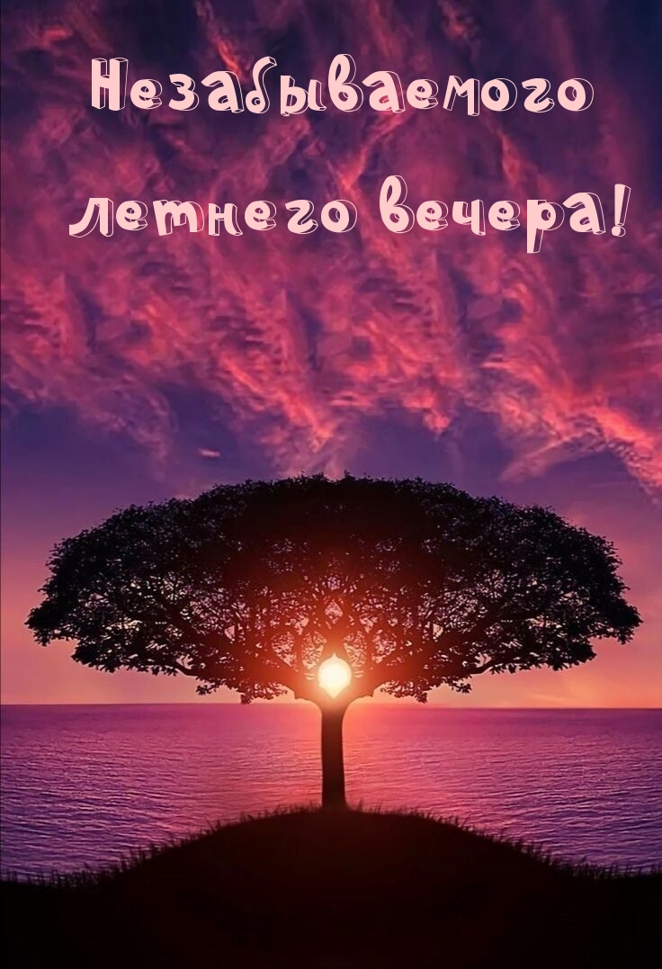 Самые красивые картинки Добрый вечер (50 фото).