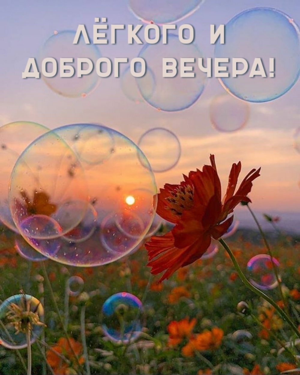 Красивые анимированные открытки с пожеланиями доброго вечера, приятного вечера, милого вечера, романтического вечера.