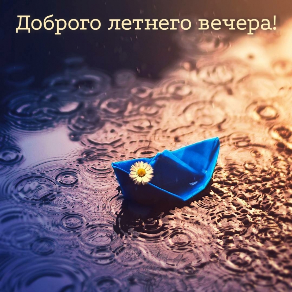 Красивые Цветы, Мать Природа, Пейзажная Фотография, Фотографии Природы.