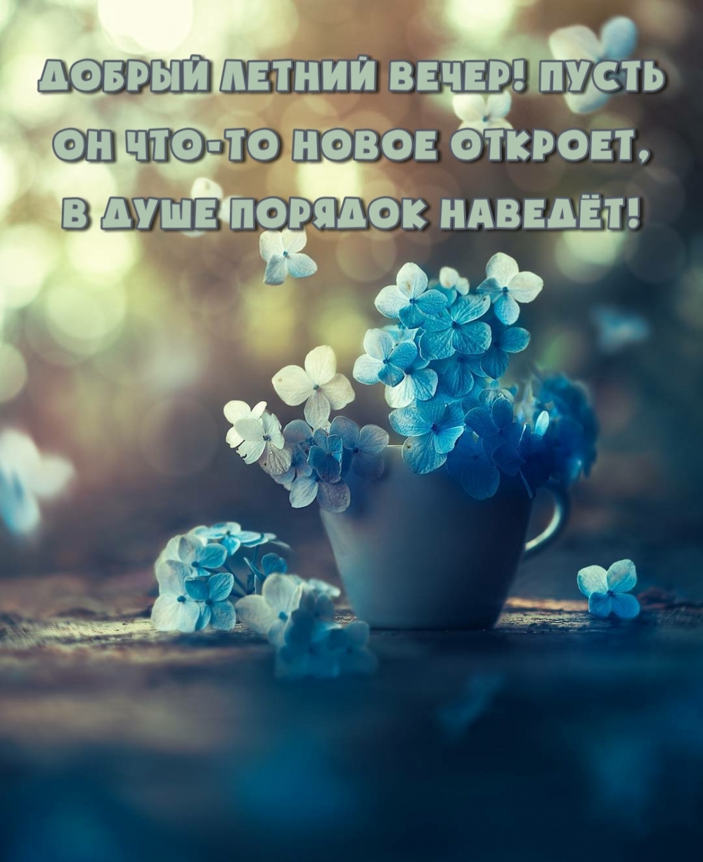 Красивые картинки Доброго Летнего Вечера порадуют друзей и родных, которые сейчас далеко.