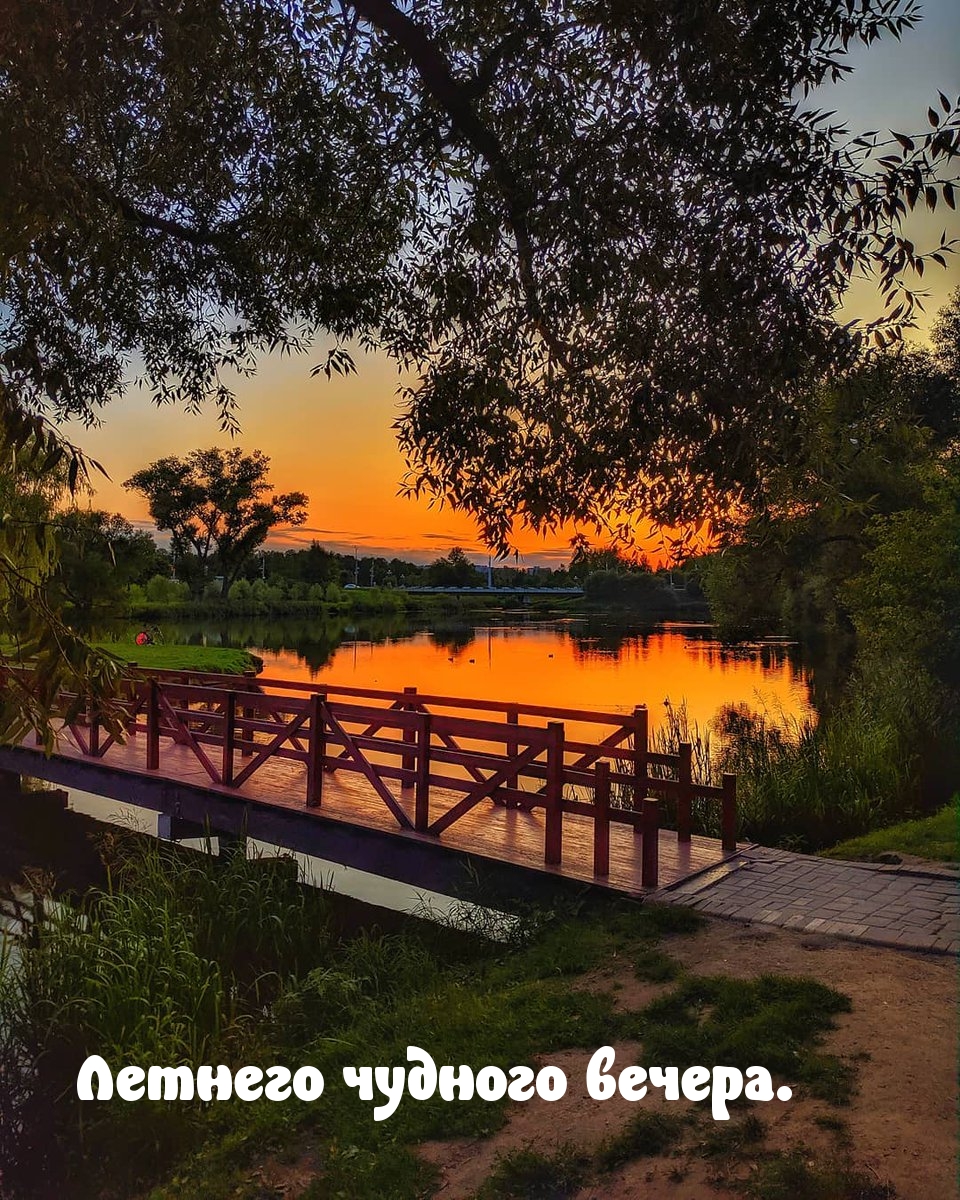 Красивый пейзаж вечернего заката....