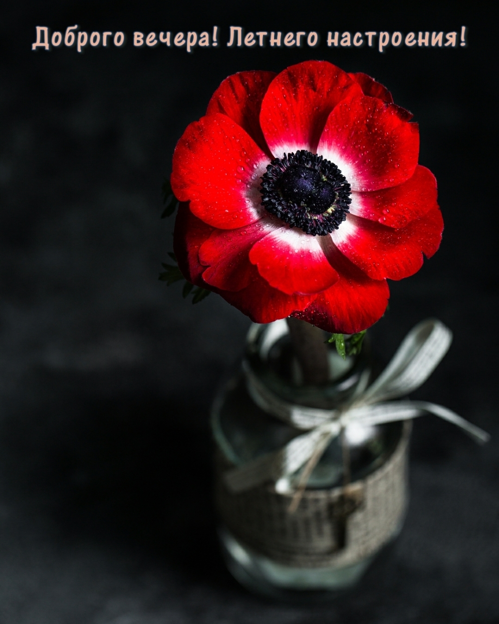 Чудесного летнего вечера, Уютного летнего вечера.