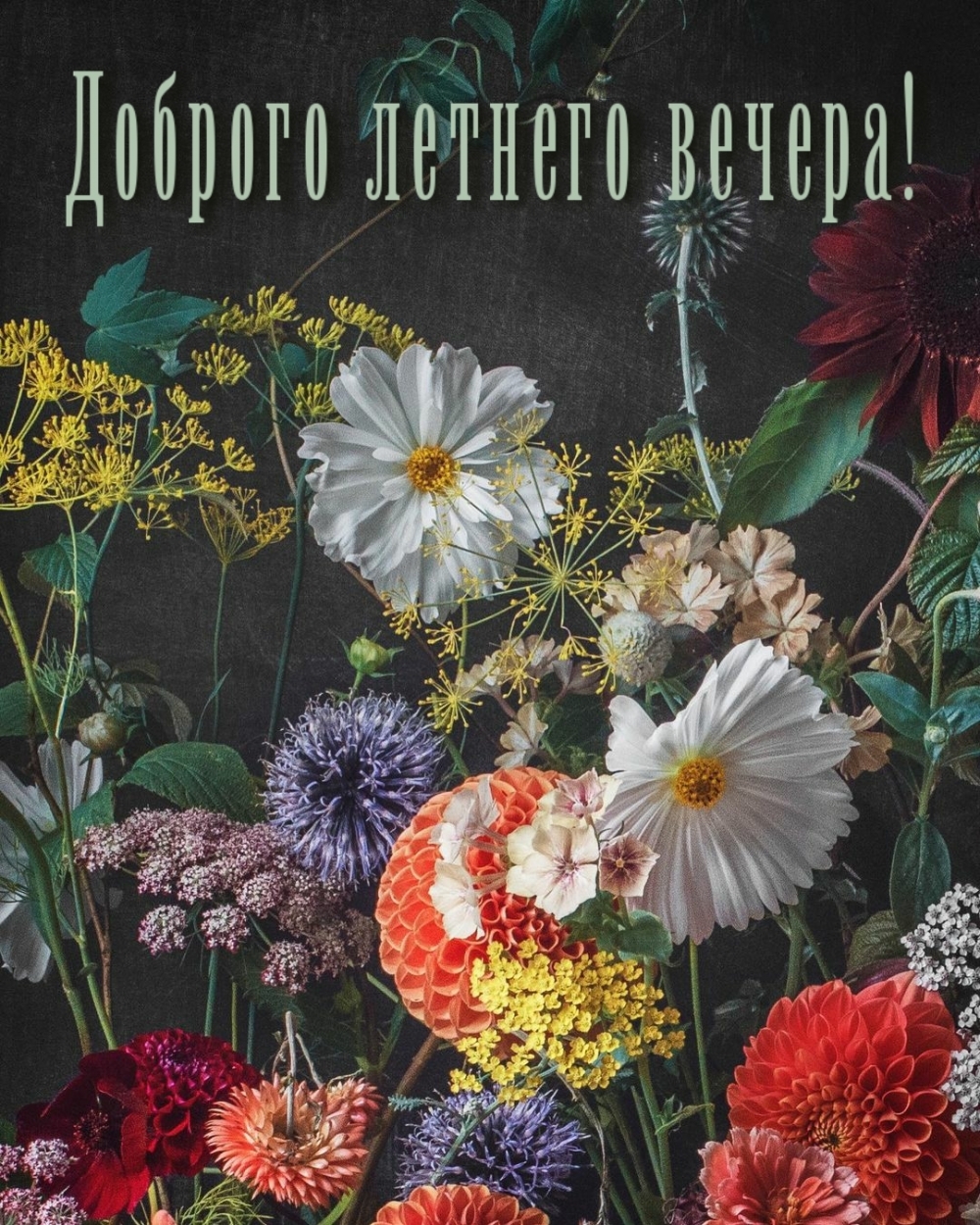 Красивые картинки Доброго летнего вечера (50 фото).