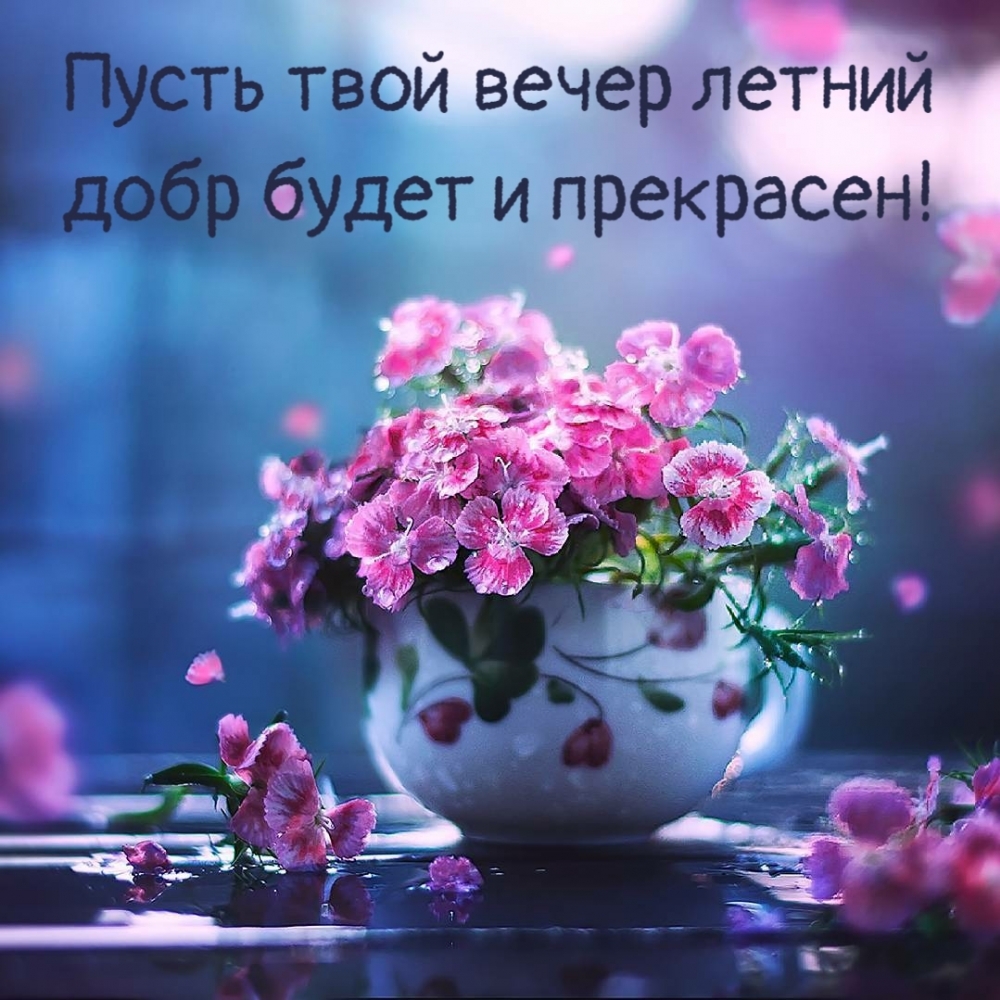 Предлагаем вашему вниманию красивые картинки — Добрый вечер Июня!