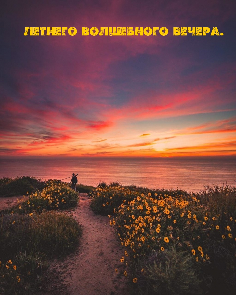 Добрый июньский вечер! — красивая открытка. Прекрасного летнего вечера!