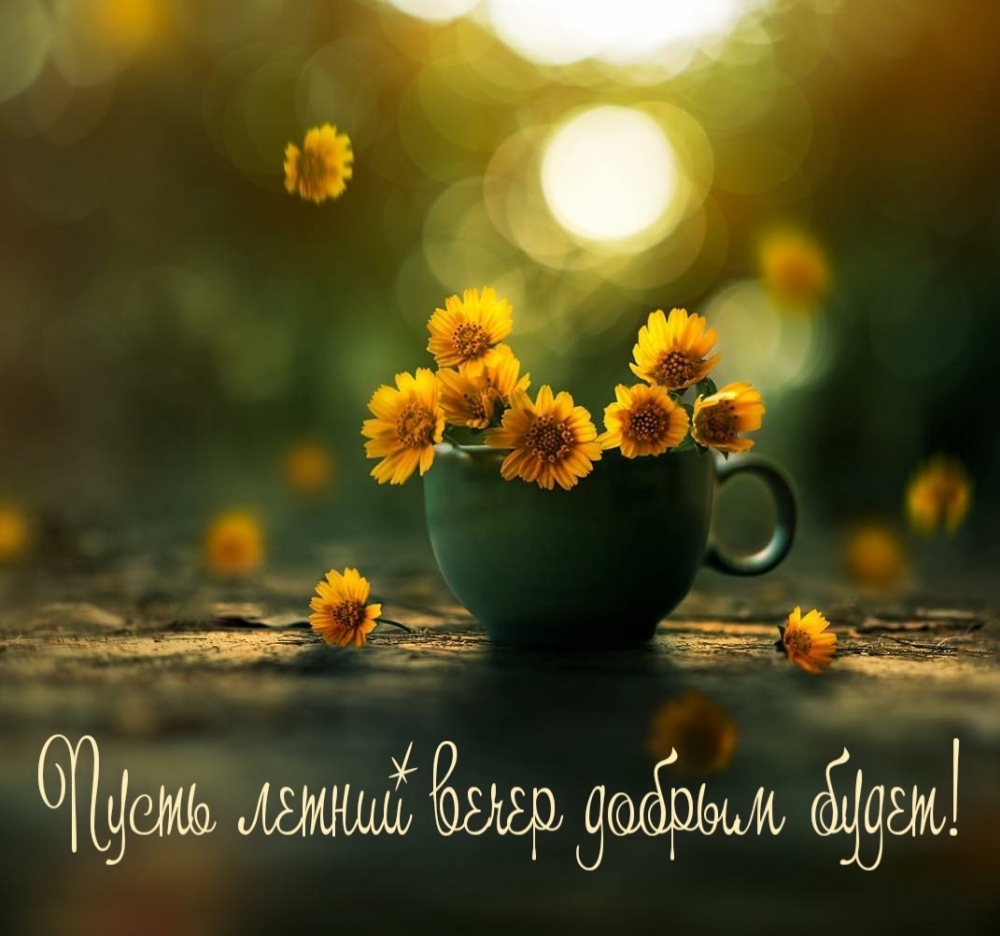 Картинки с добрым вечером июня - Это красивое пожелание!