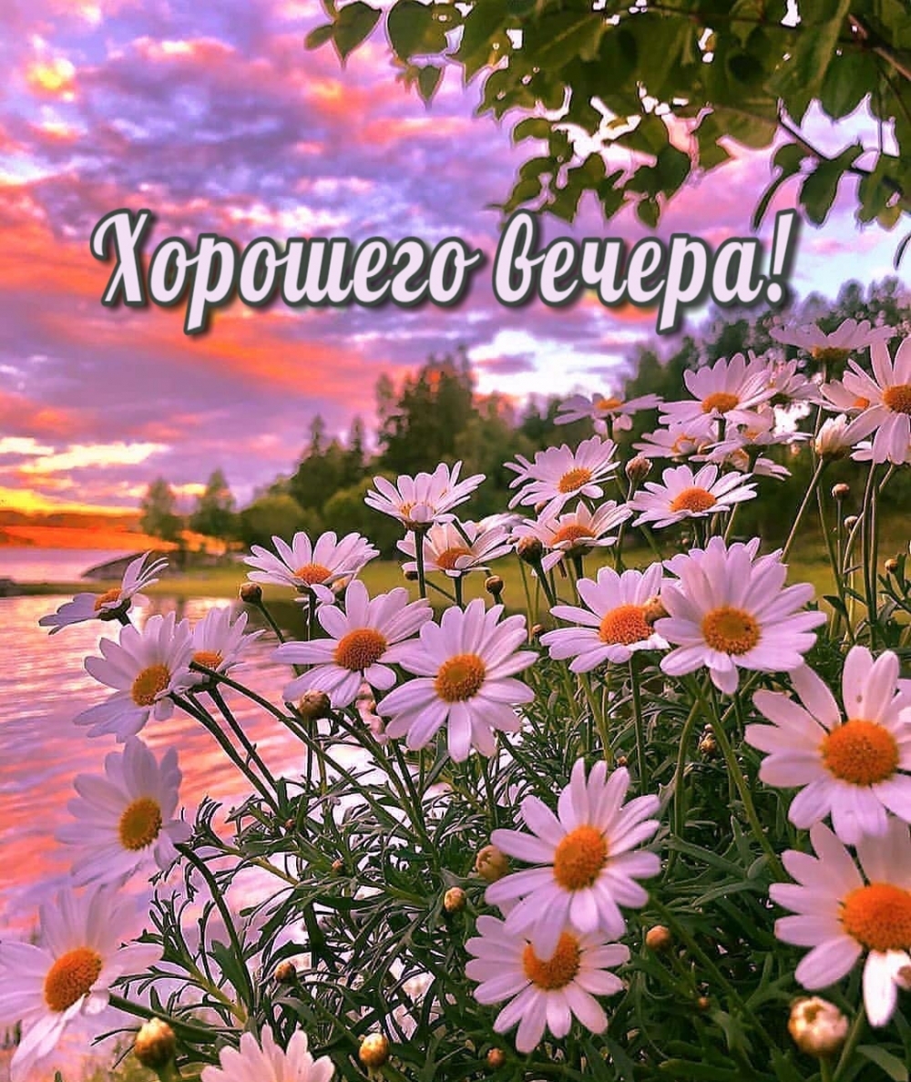 Приятного летнего вечера, Доброго летнего вечера.