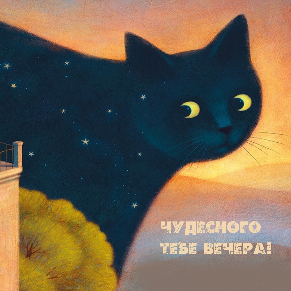 Открытки прекрасного летнего вечера.