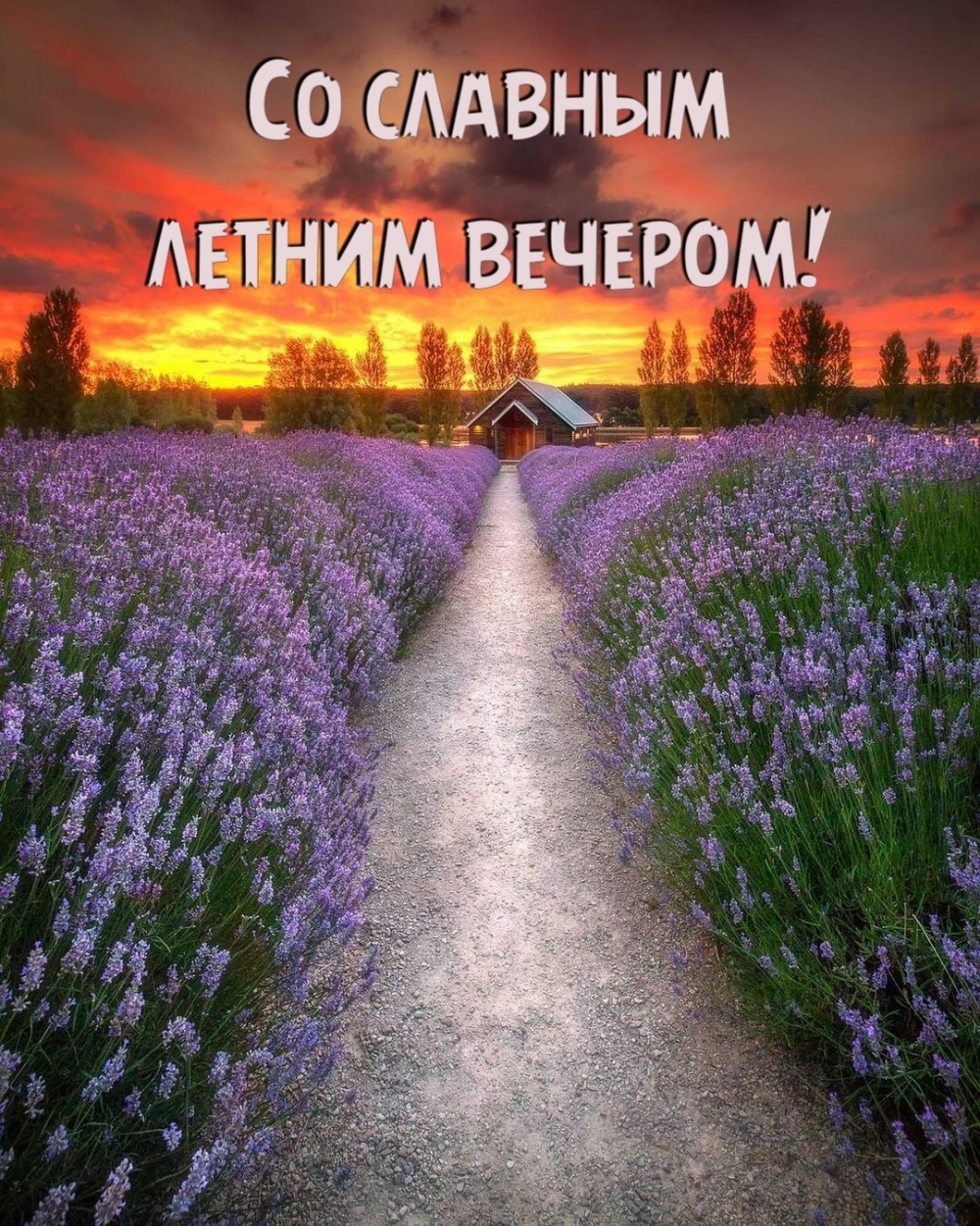 Скачать красивую картинку добрый летний вечер бесплатно.