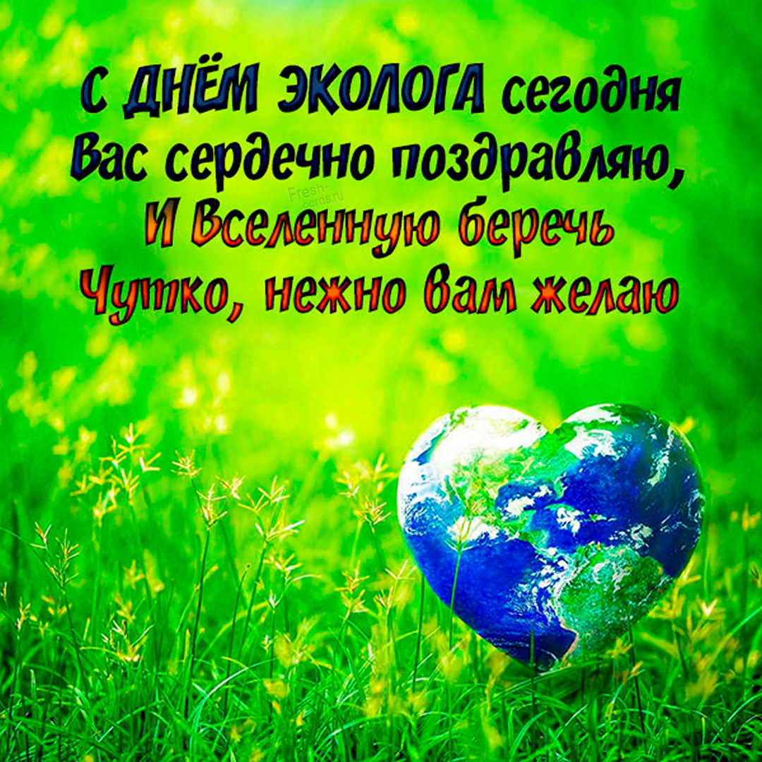 День эколога в 2022 году: какого числа в России и картинки.