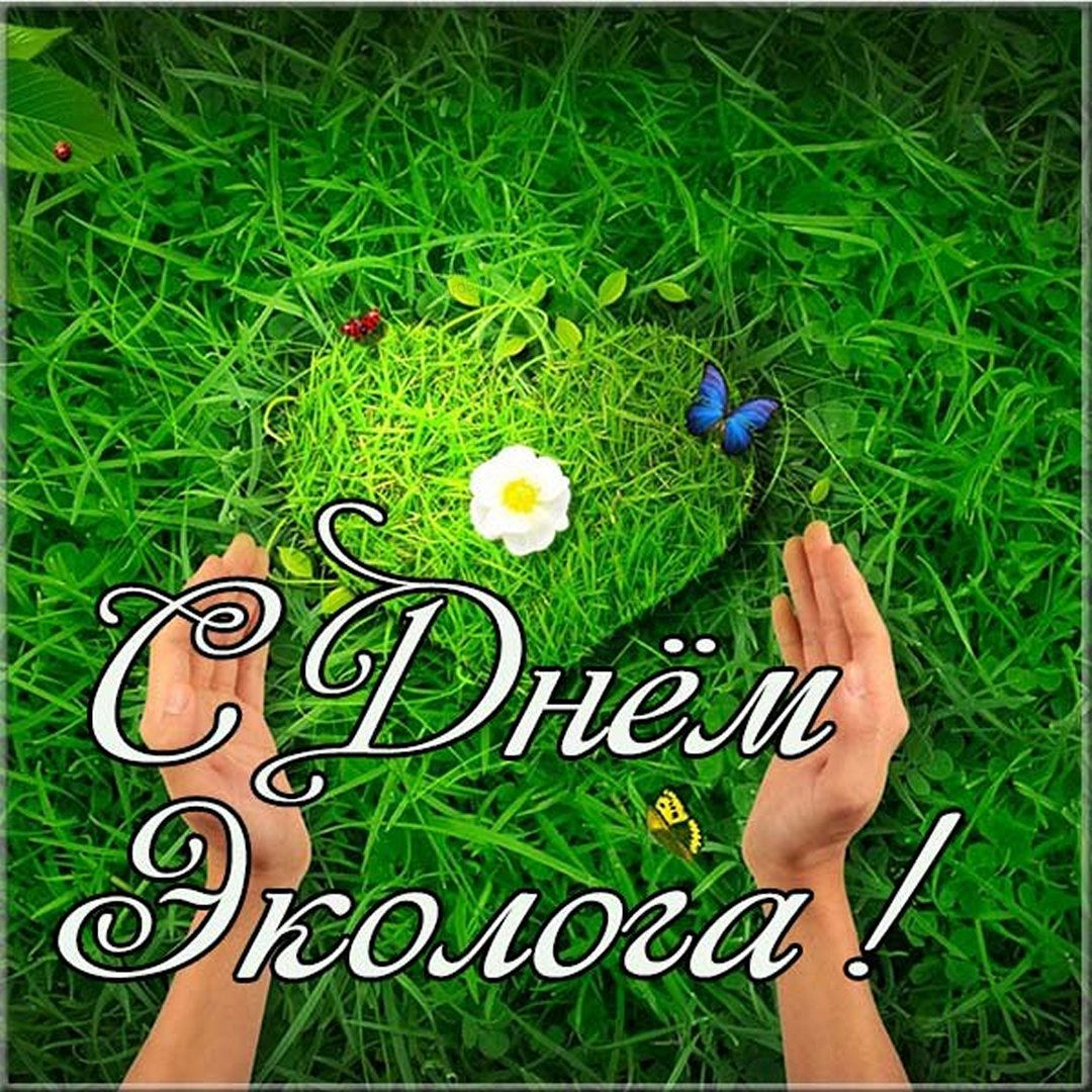 День эколога