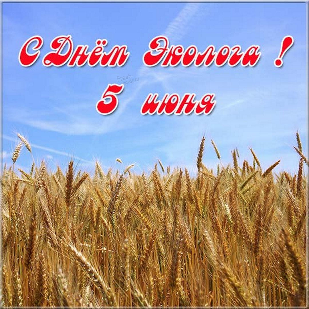 Картинки и рисунки ко дню Эколога.