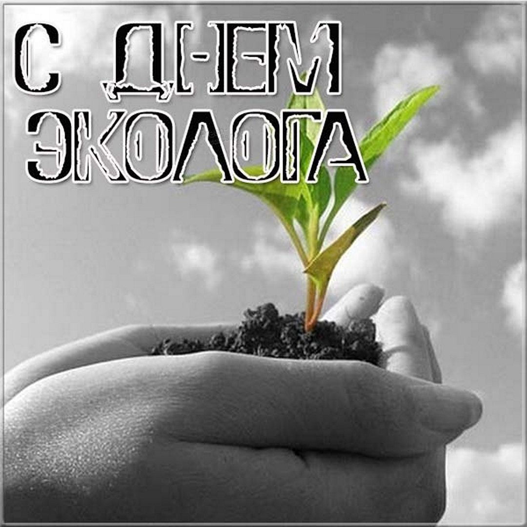 Поздравление с днем эколога.