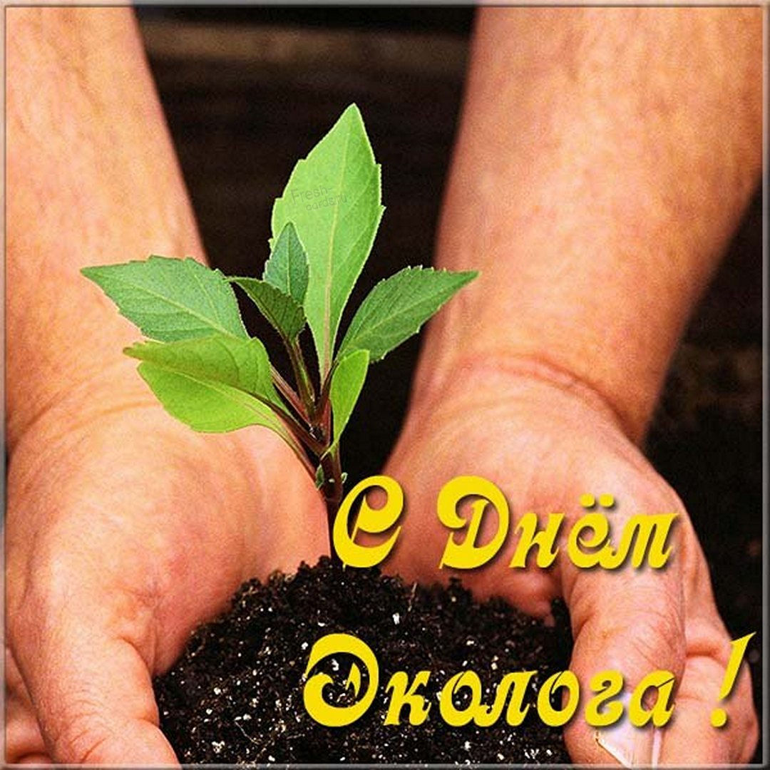 День экологического образования!