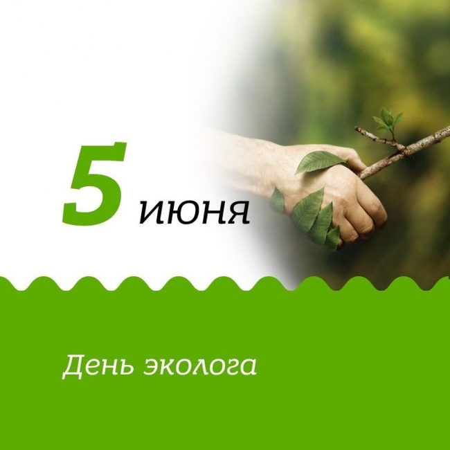 День эколога приходится на 5 июня.