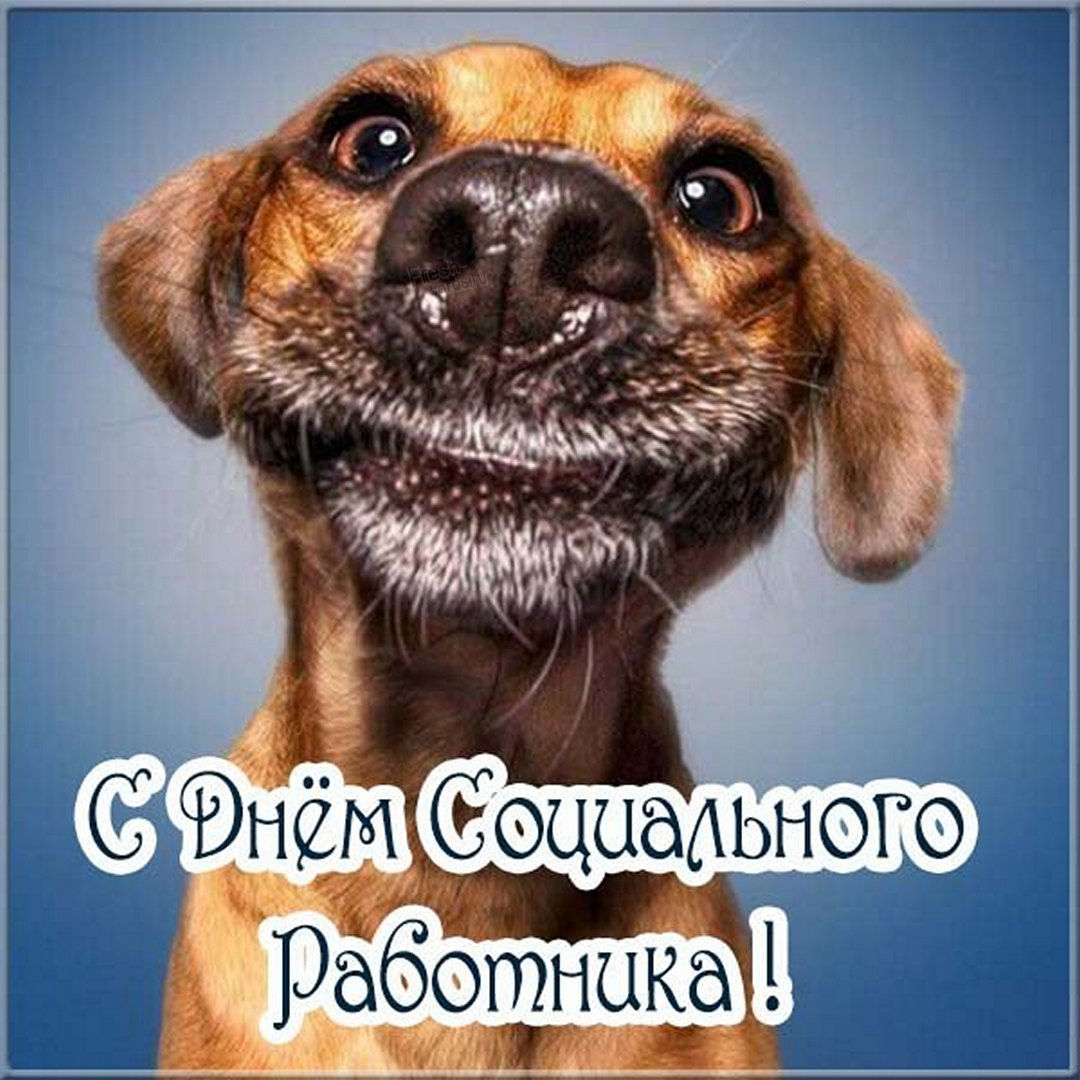С днем социального работника открытки позитивные с приколом 2022.