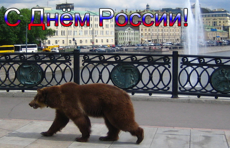 Открытка, медведь на улице. Открытка, медведь на улице.