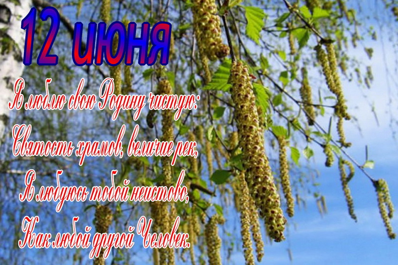 Я люблю свою родину чистую, береза. Я люблю свою родину чистую, береза.