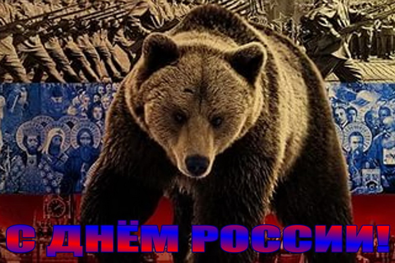 Открытка, медведь, цвета флага. Открытка, медведь, цвета флага.