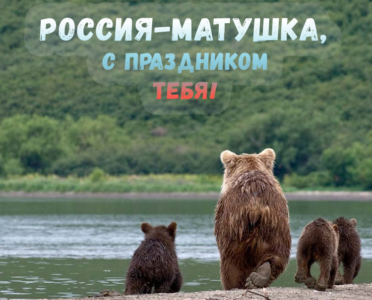 Картинка на День России с русской девушкой в поле. Картинка на День России с русской девушкой в поле.