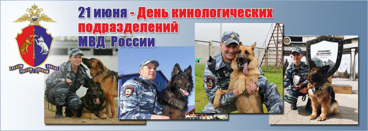 Прикольные картинки с Днем кинолога на 21 июня. Прикольные картинки с Днем кинолога на 21 июня.