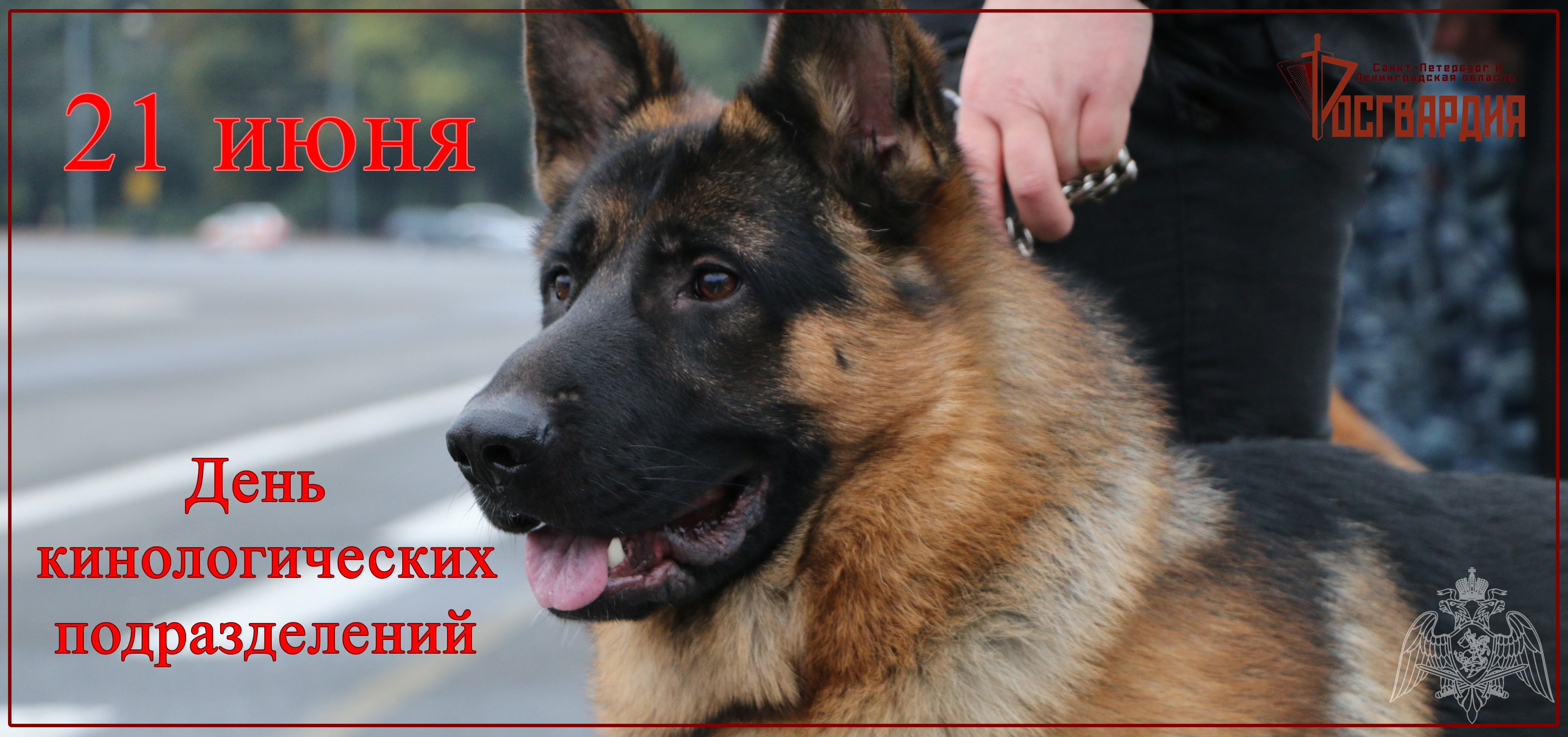 День кинолога поздравления. День кинолога поздравления.