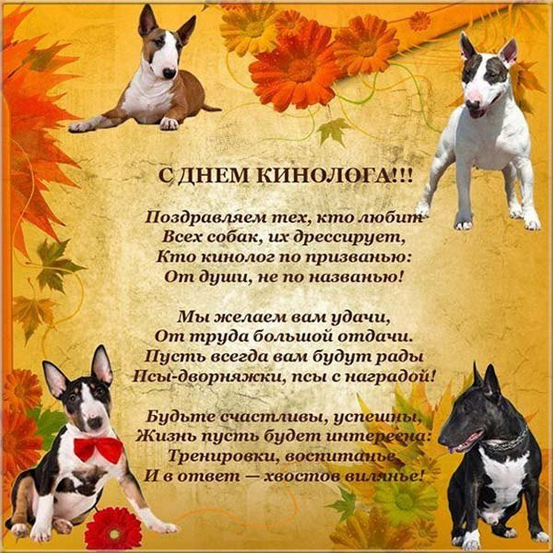 День кинологических подразделений МВД России (день кинолога). День кинологических подразделений МВД России (день кинолога).